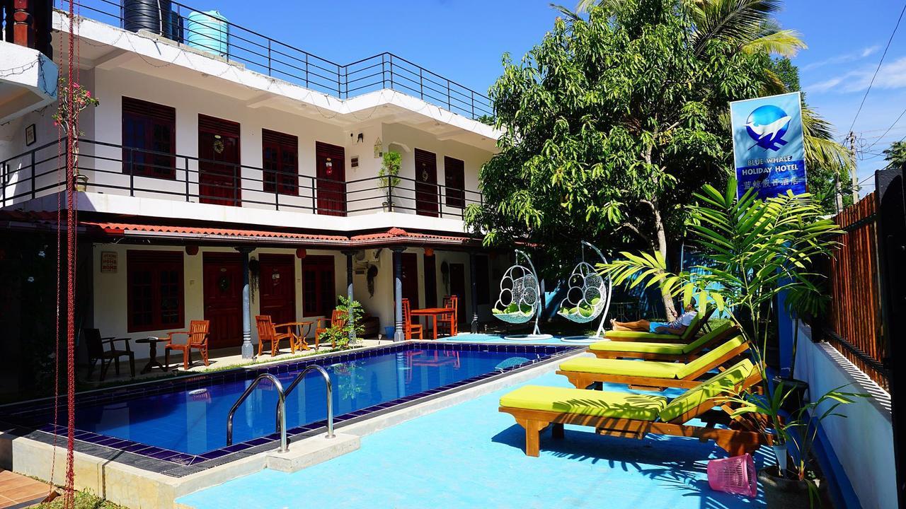 Blue Whale Holiday Hotel Мириса Екстериор снимка