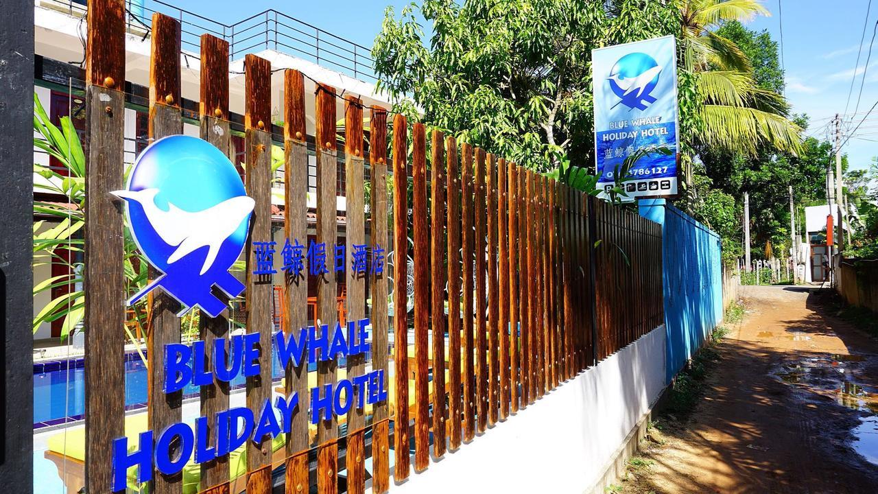 Blue Whale Holiday Hotel Мириса Екстериор снимка