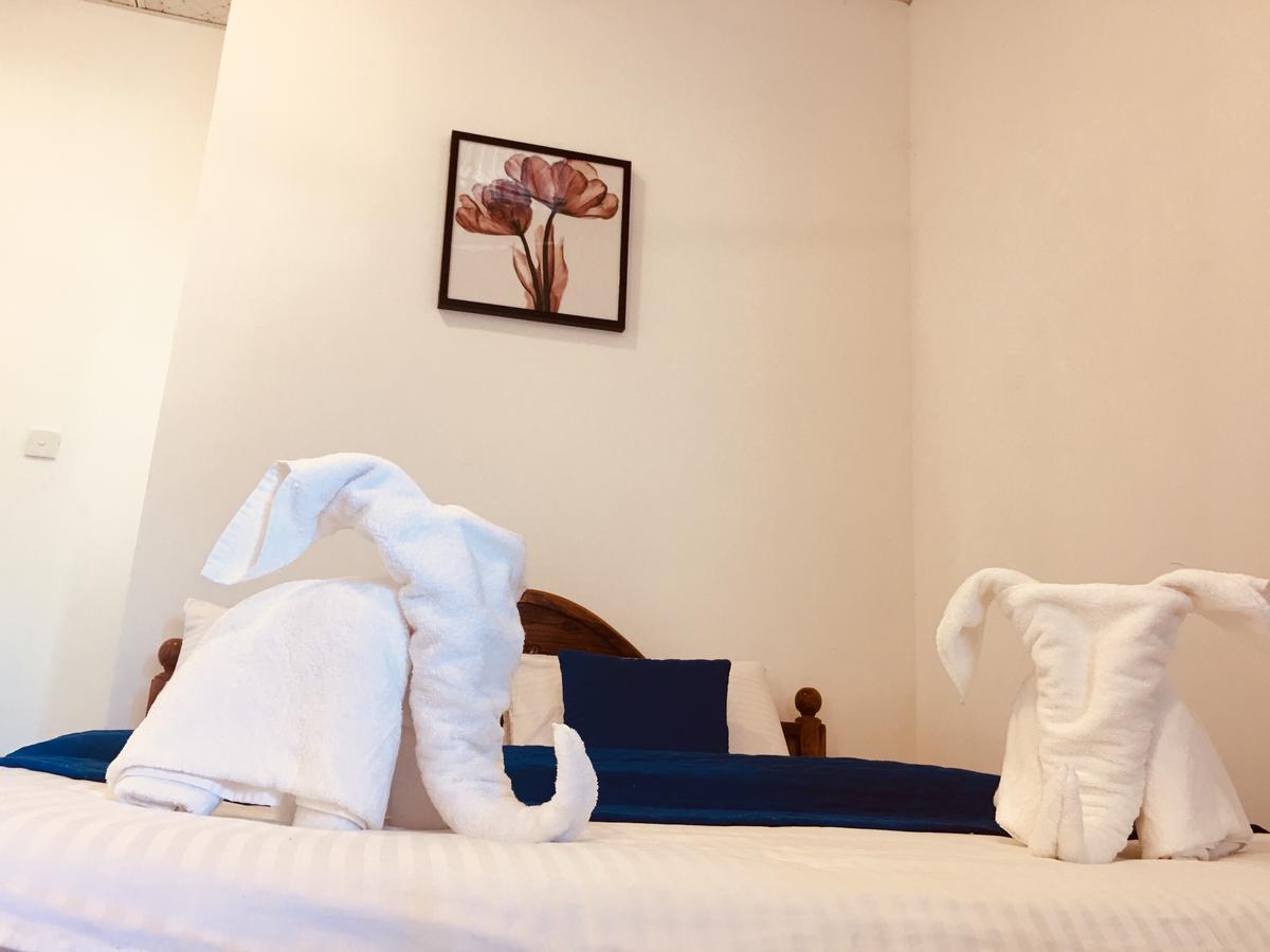 Blue Whale Holiday Hotel Мириса Екстериор снимка