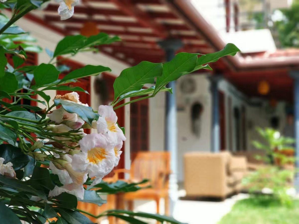 Blue Whale Holiday Hotel Мириса Екстериор снимка